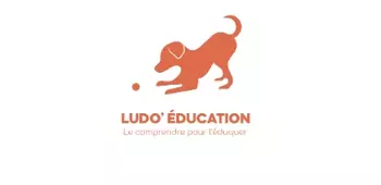 LUDO' EDUCATION
